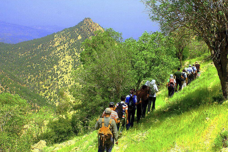 رییس اداره حفاظت محیط زیست شهرستان شیراز ;